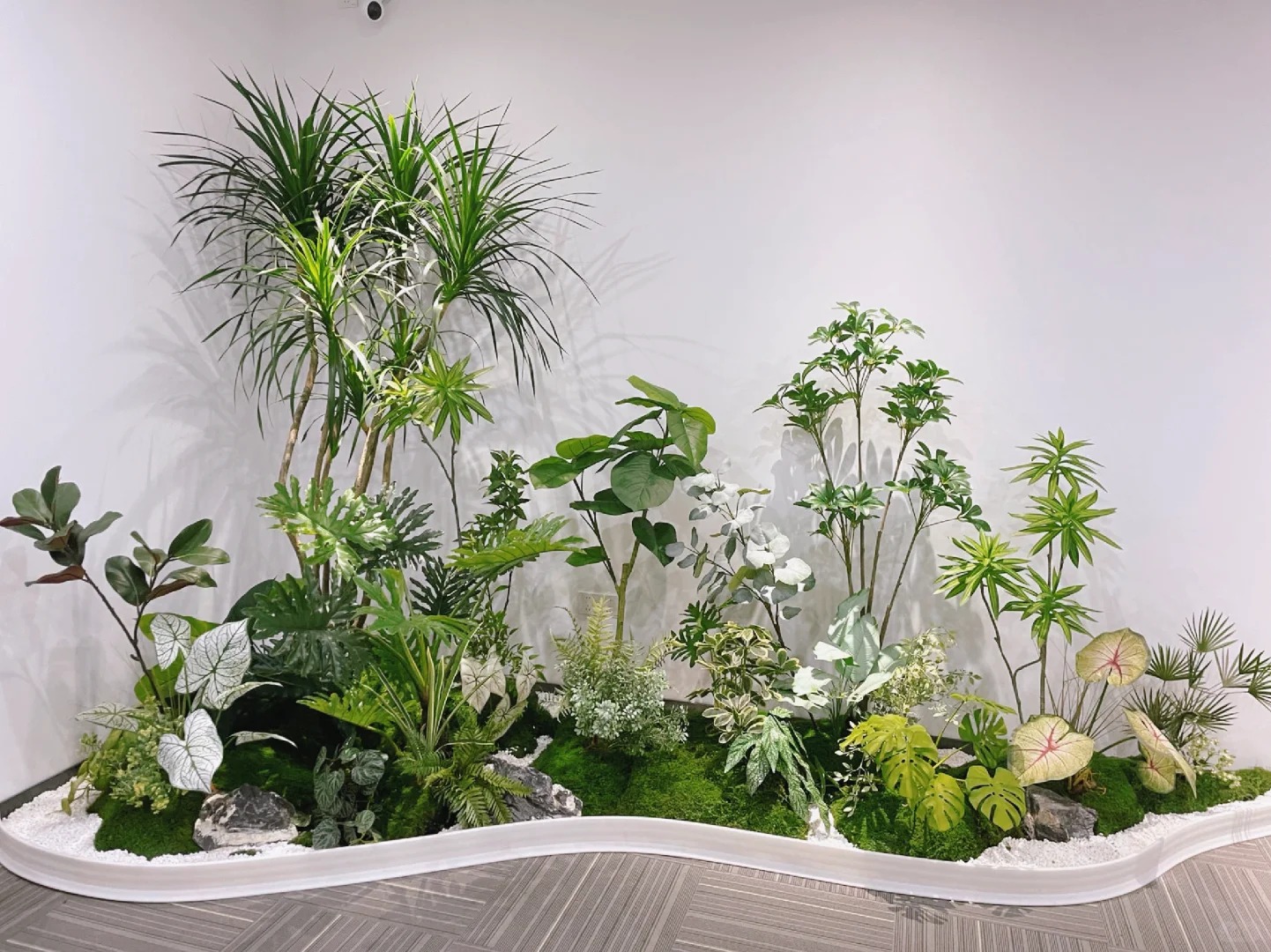 专业植物出租，宁波余姚绿植焕新你的世界